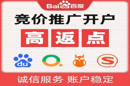 知名SEM公司案例分析：优化策略与成果